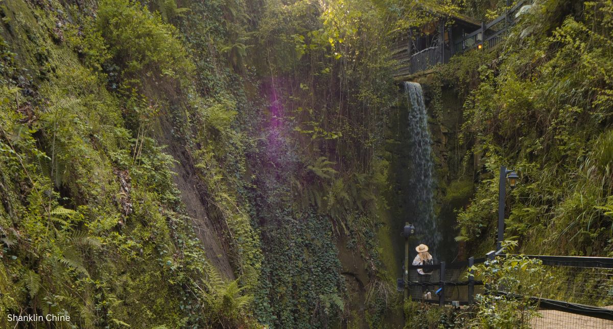 Shanklin Chine, Isle of Wight